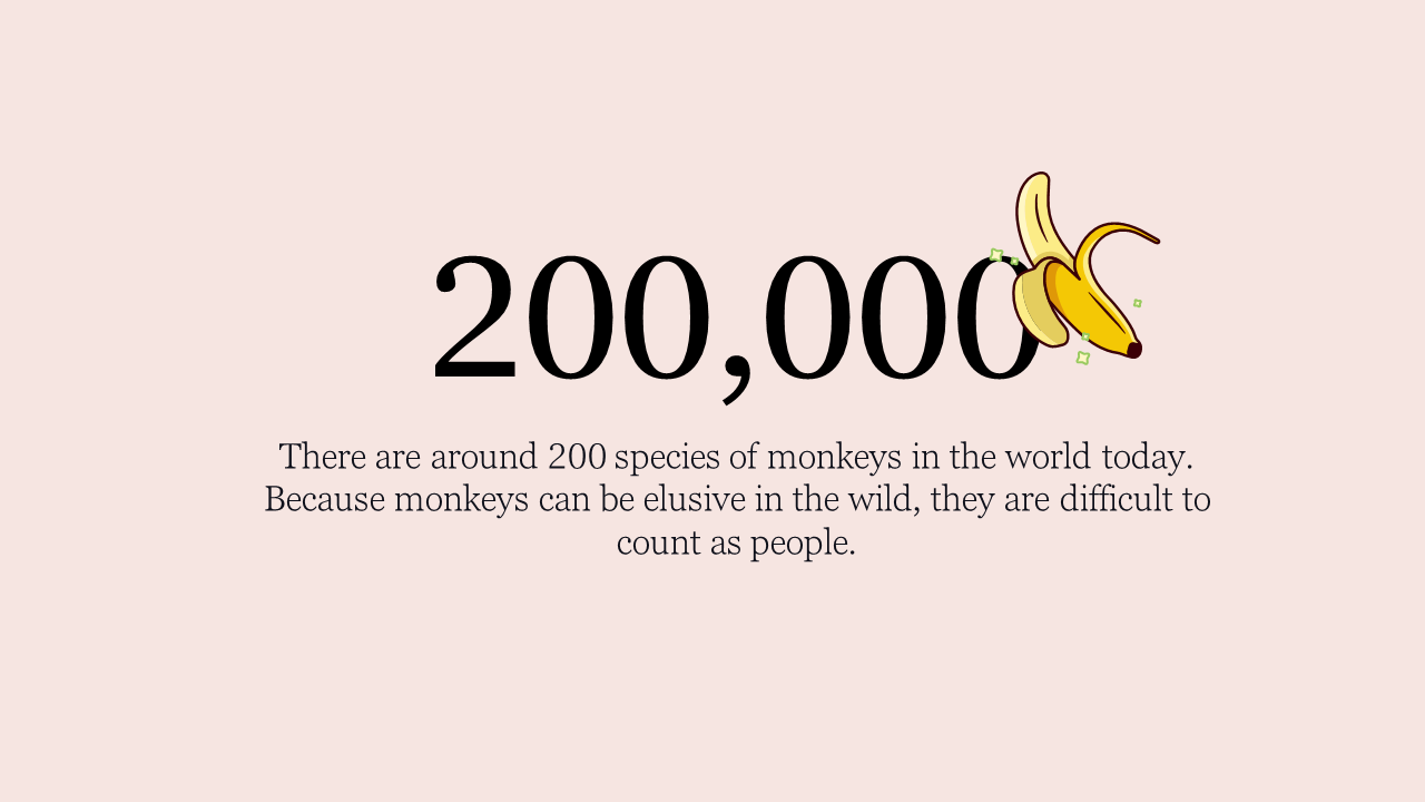 100030-monkey-day-03