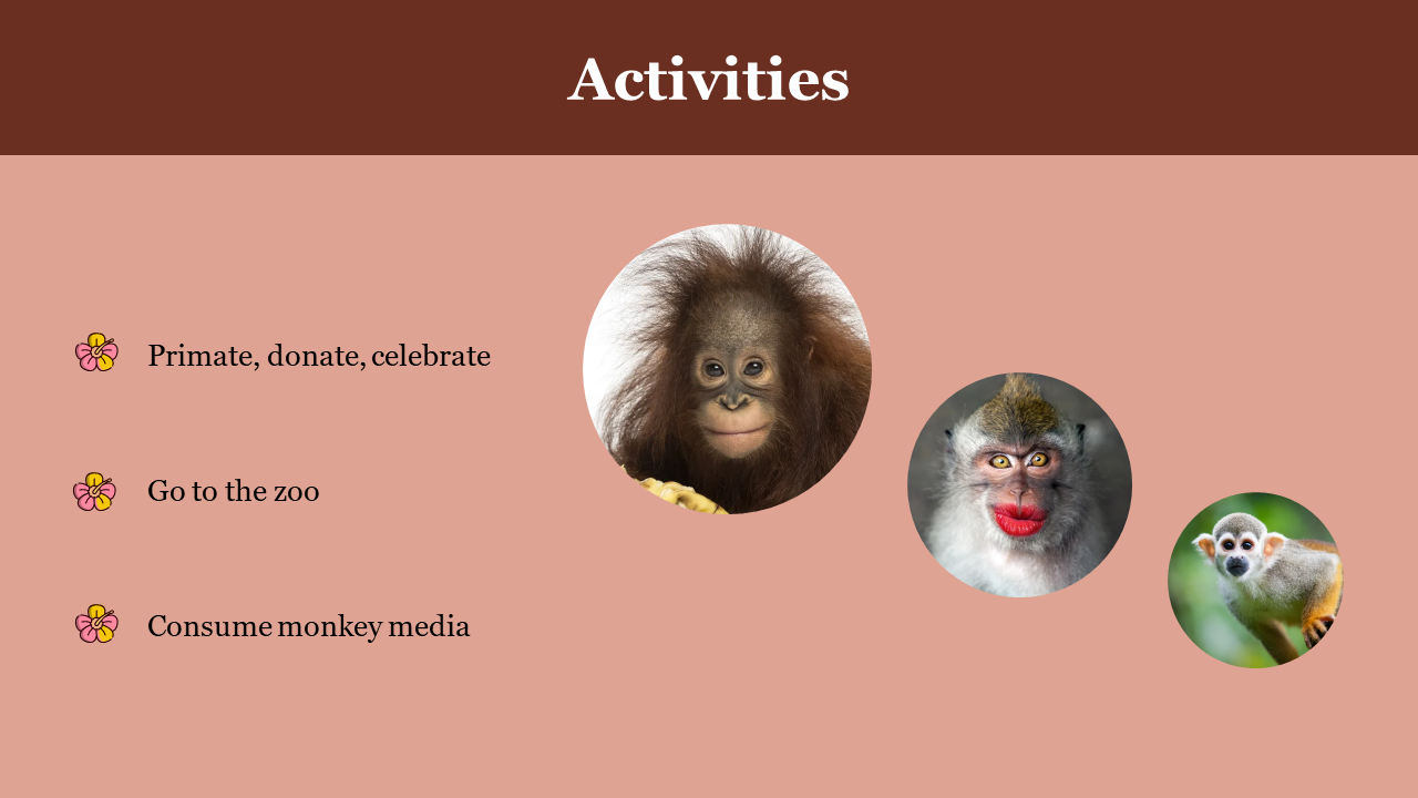 100030-monkey-day-11
