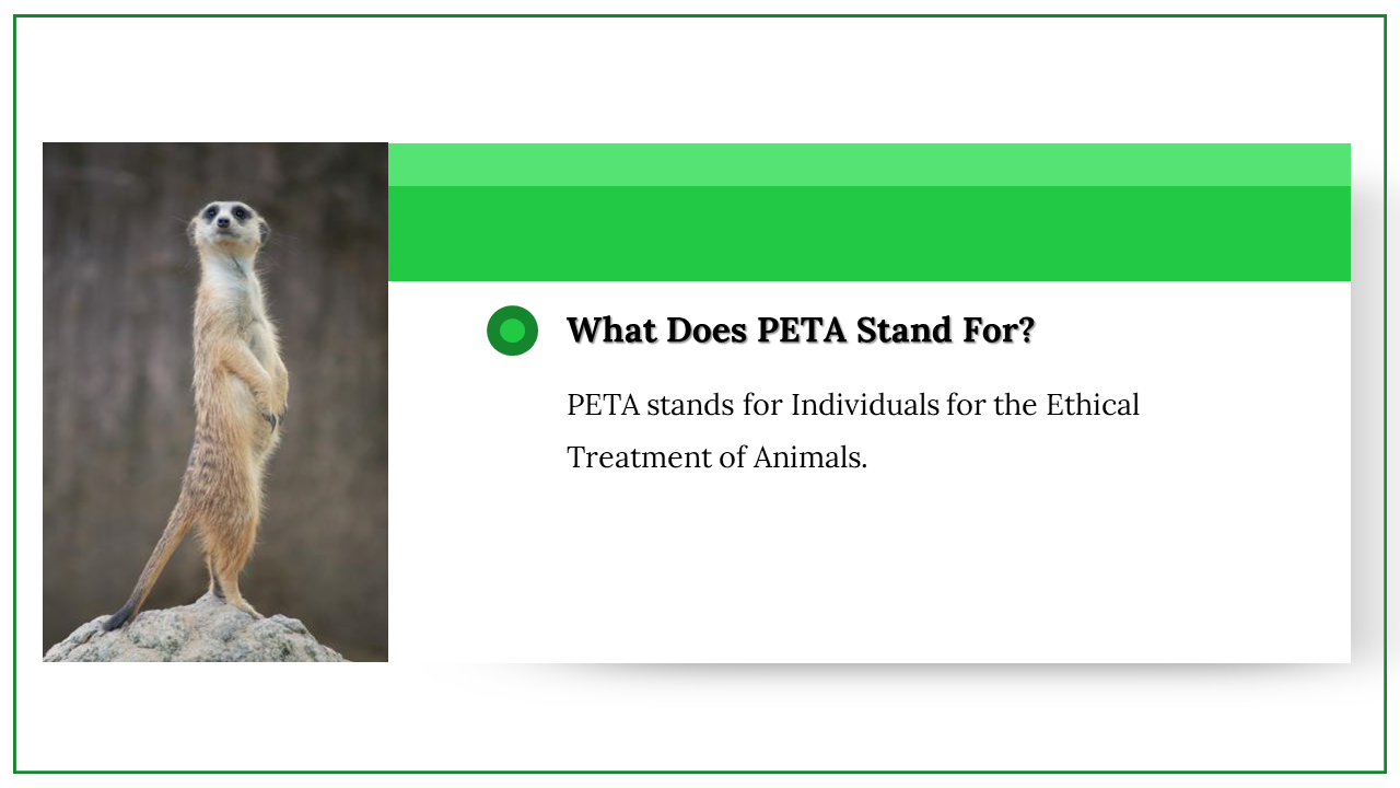 300024-international-animal-rights-day-09