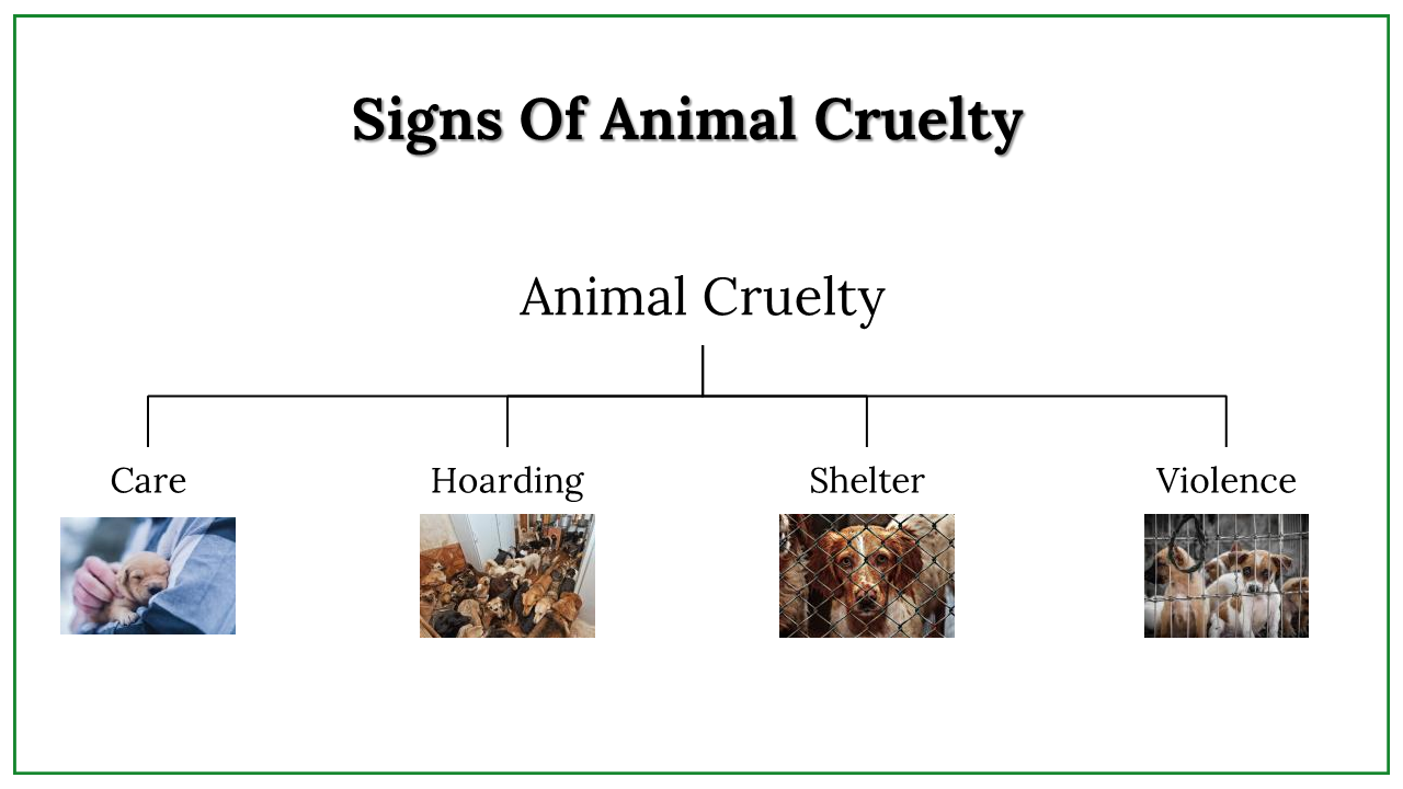 300024-international-animal-rights-day-21
