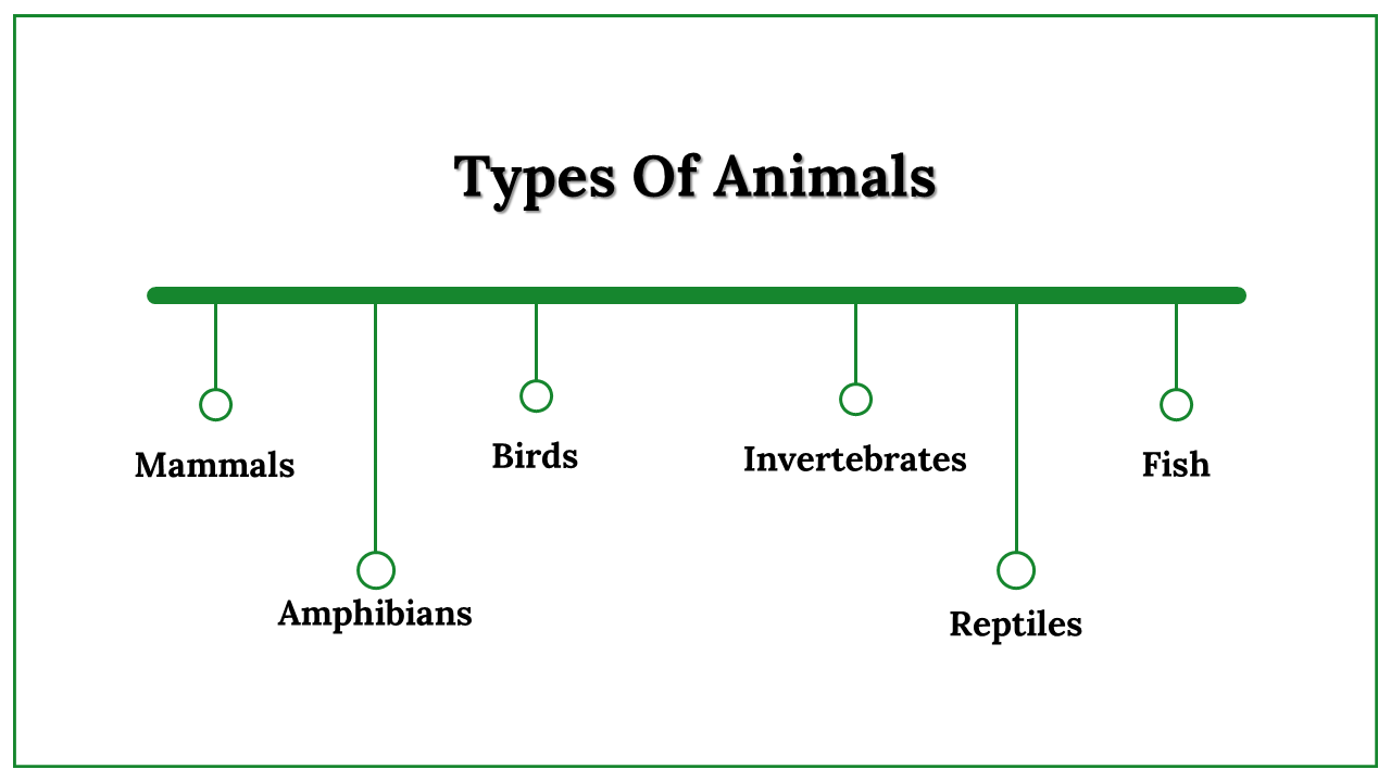 300024-international-animal-rights-day-23