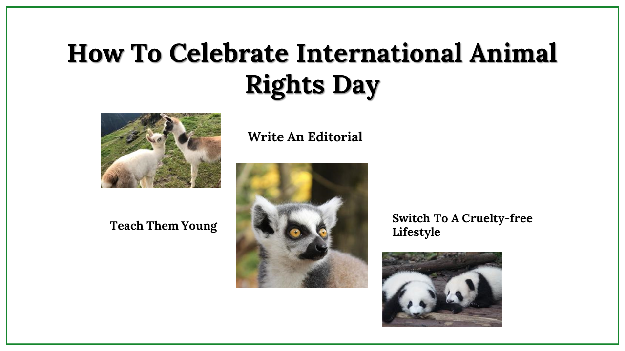 300024-international-animal-rights-day-27