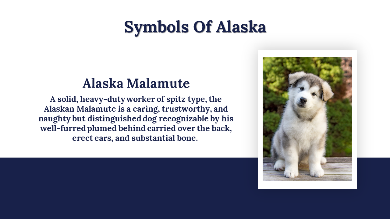 300035-happy-alaska-day-16