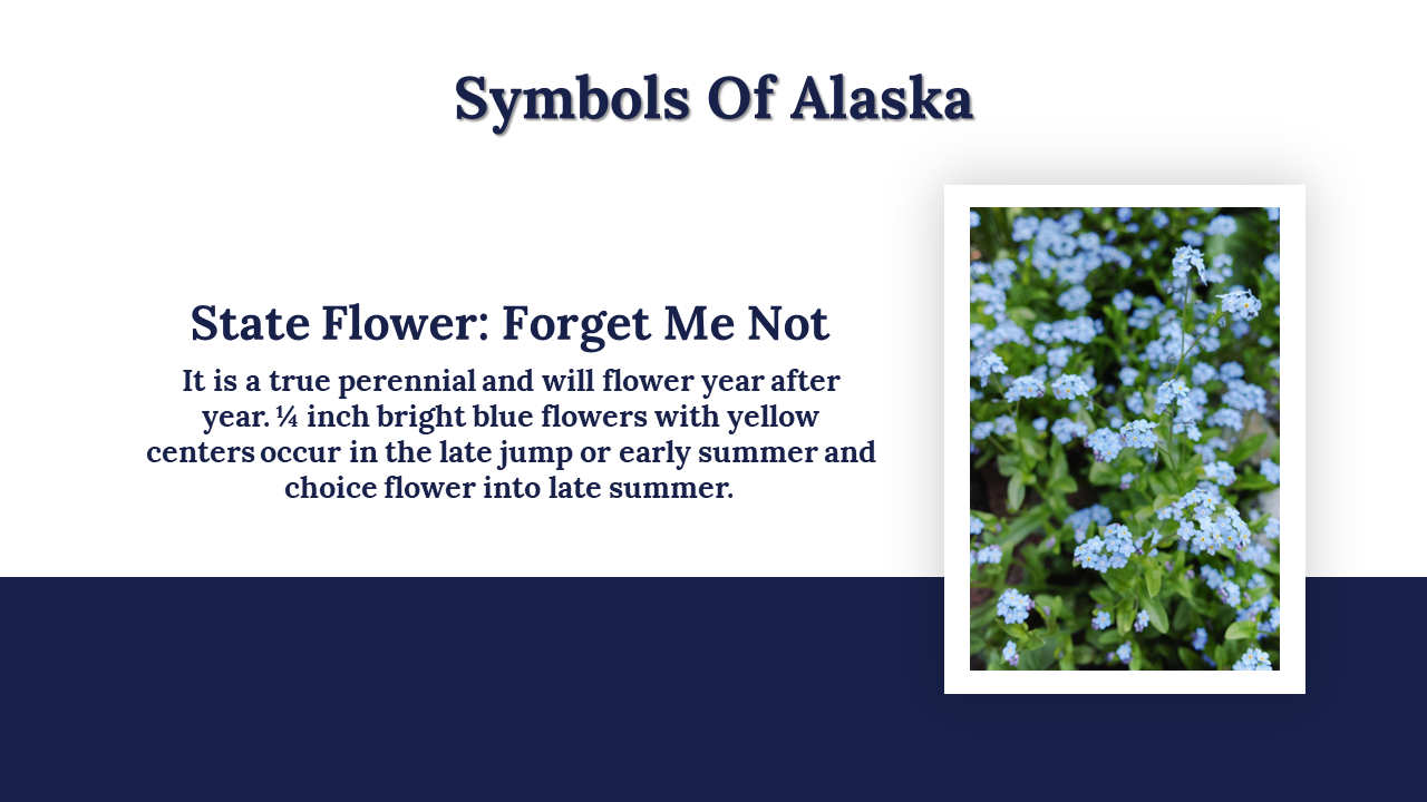300035-happy-alaska-day-18