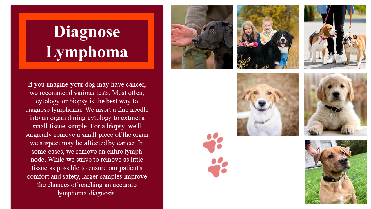 100039-national-canine-lymphoma-awareness-day-22