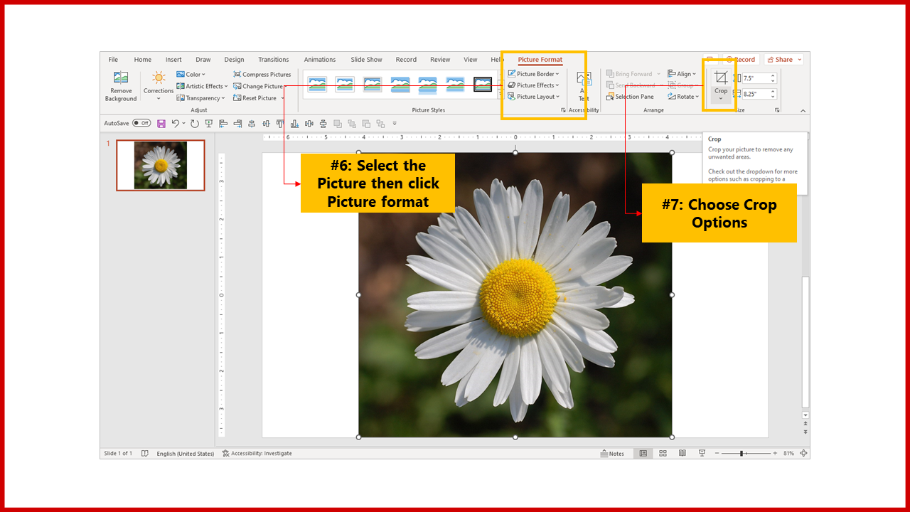 704880-how-do-i-change-the-shape-of-a-picture-in-powerpoint-05