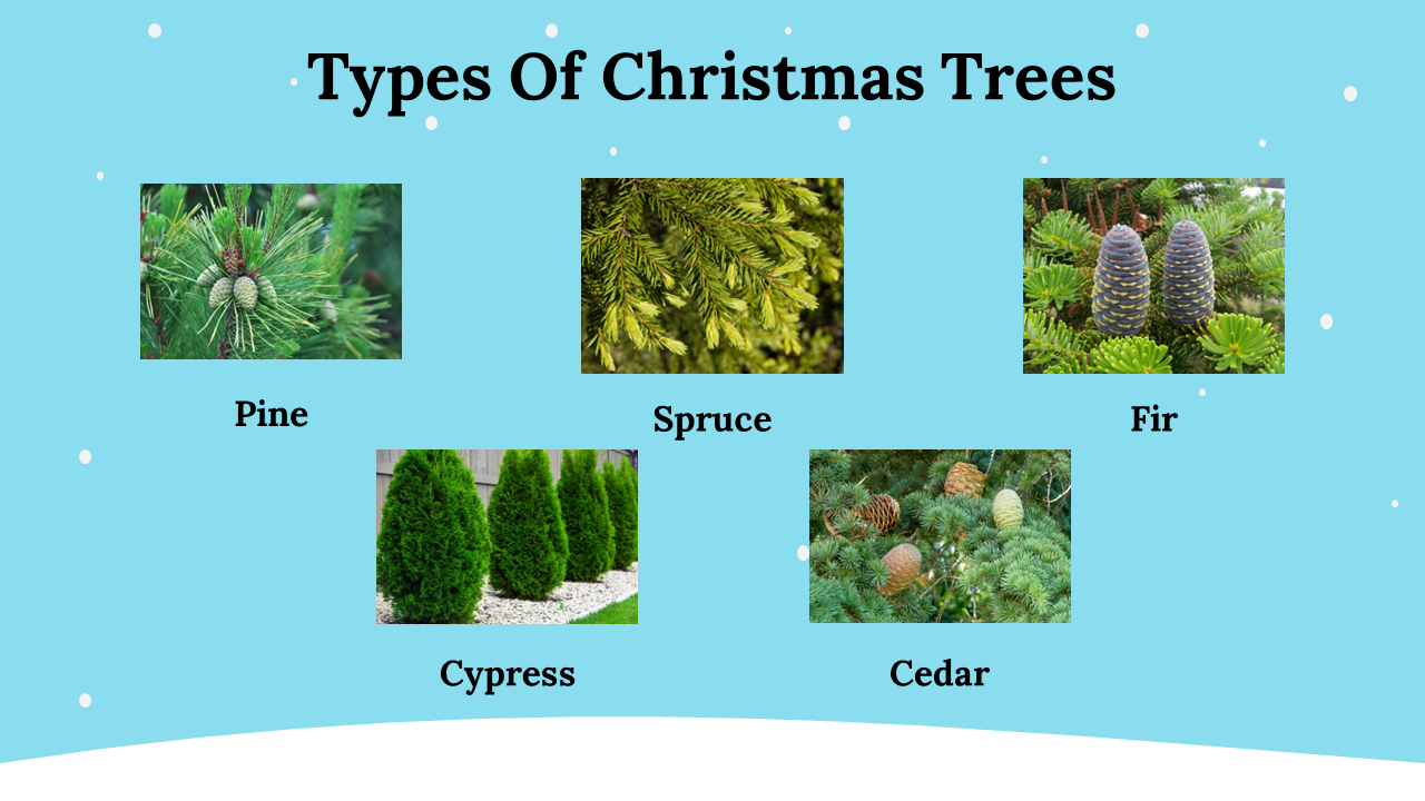 400046-christmas-presents-infographics-11