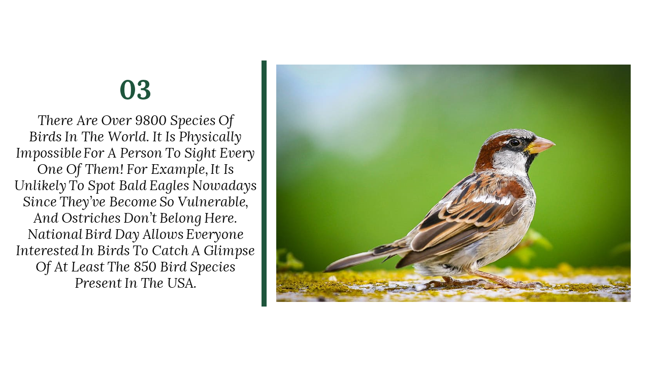 300052-national-bird-day-14