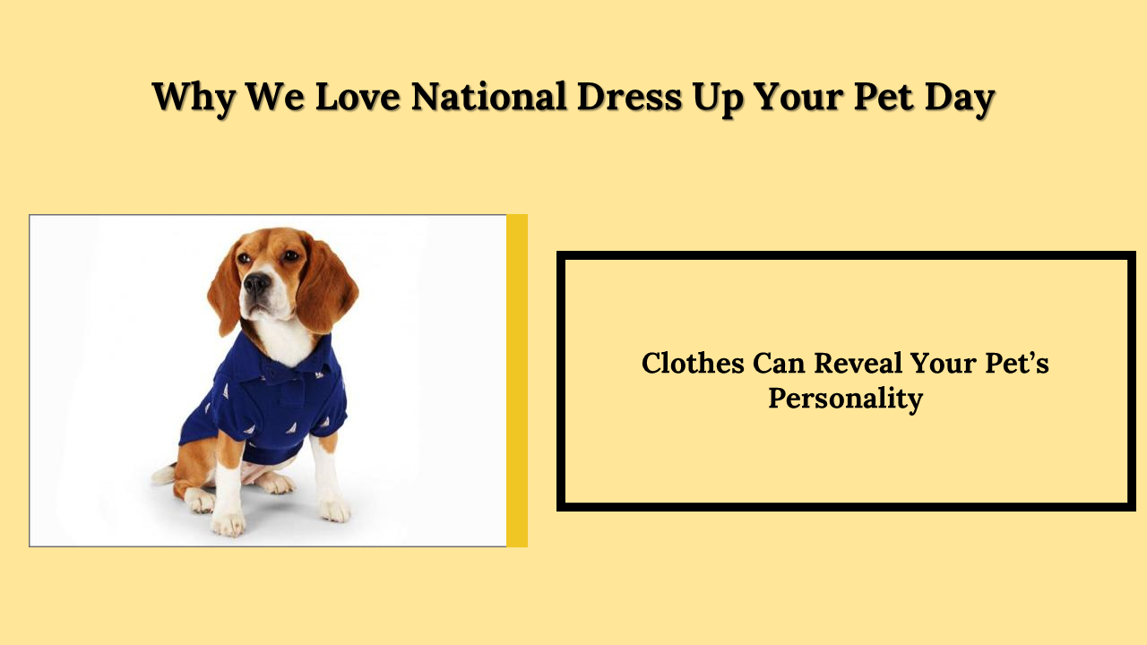 300053-national-dress-up-your-pet-day-08