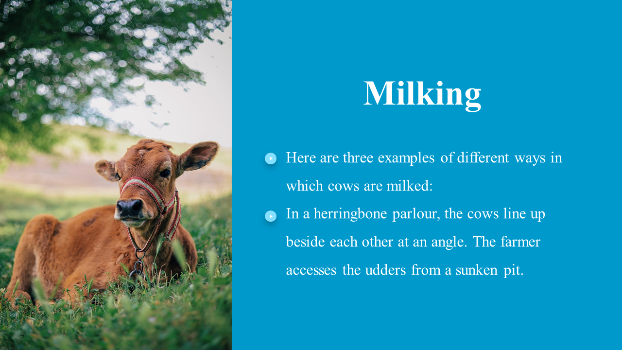 100055-national-milk-day-24