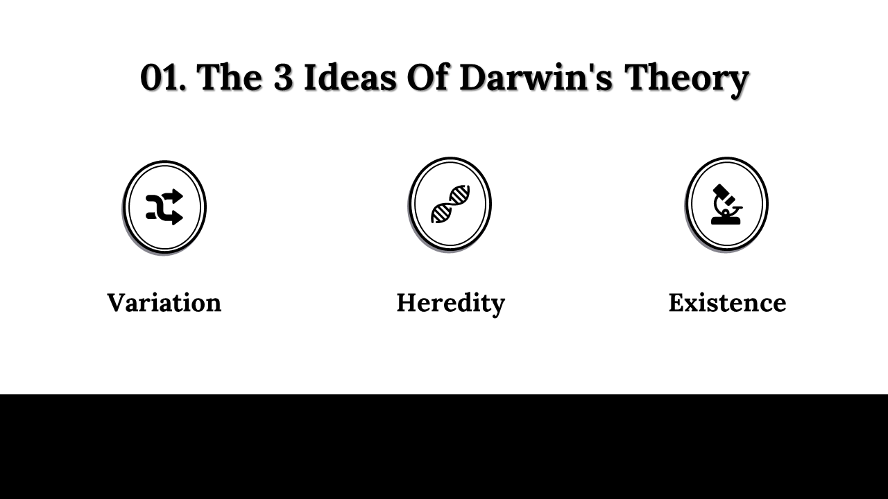300058-darwin-day-15