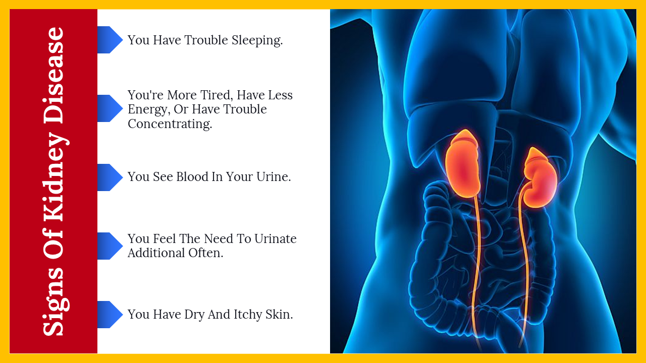 300064-world-kidney-day-20