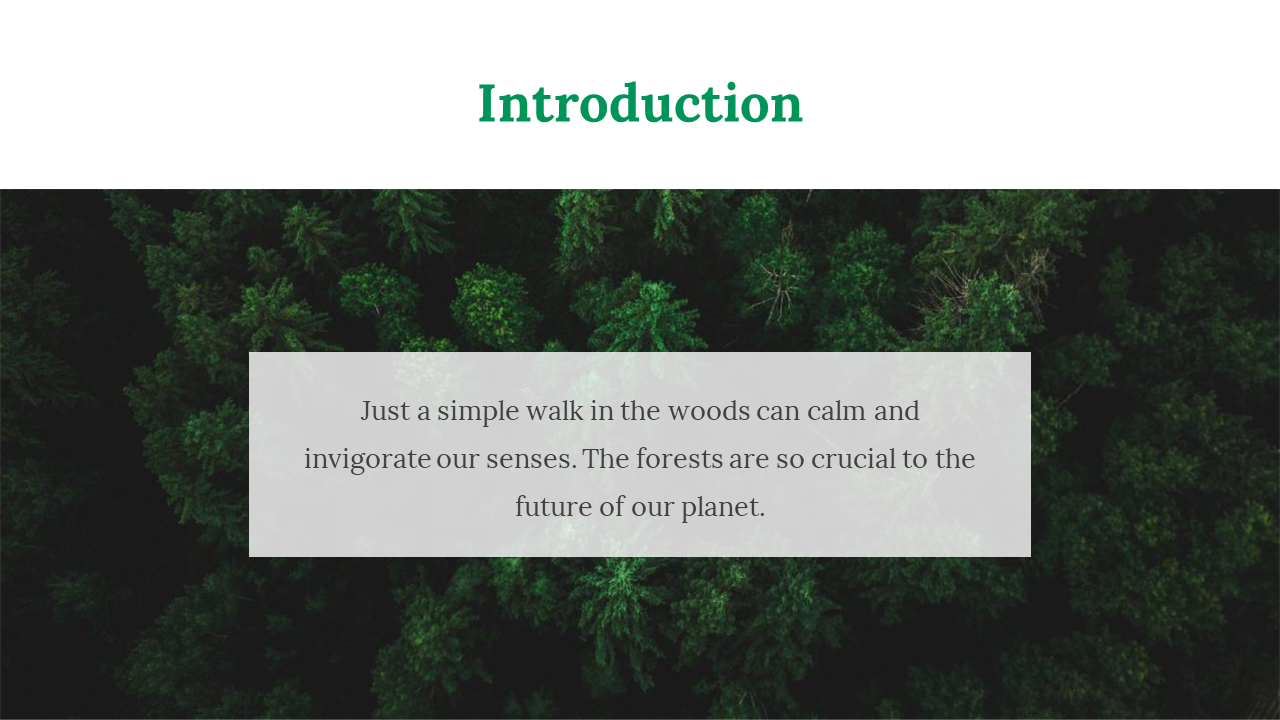 200055-international-day-of-forests-03