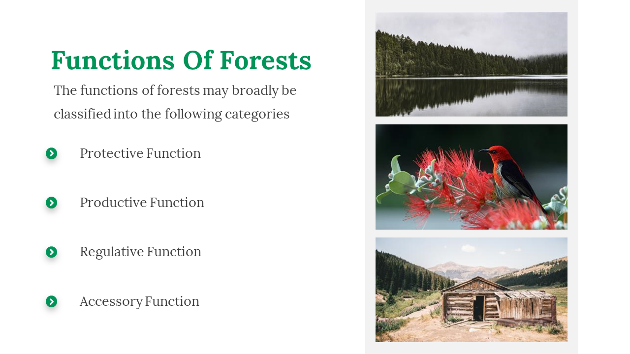 200055-international-day-of-forests-09