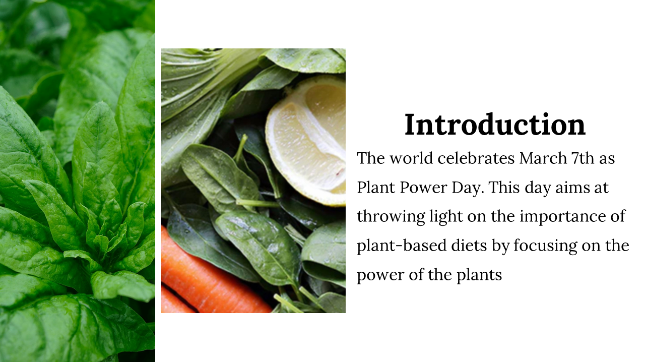 400061-world-plant-power-day-04
