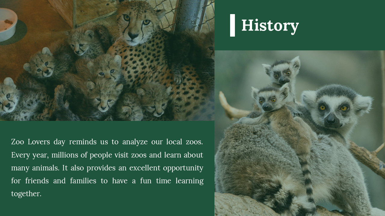 300071-zoo-lovers-day-05
