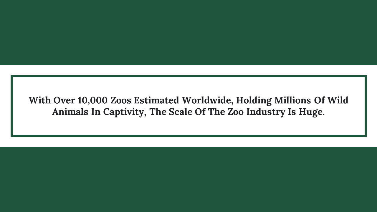 300071-zoo-lovers-day-16