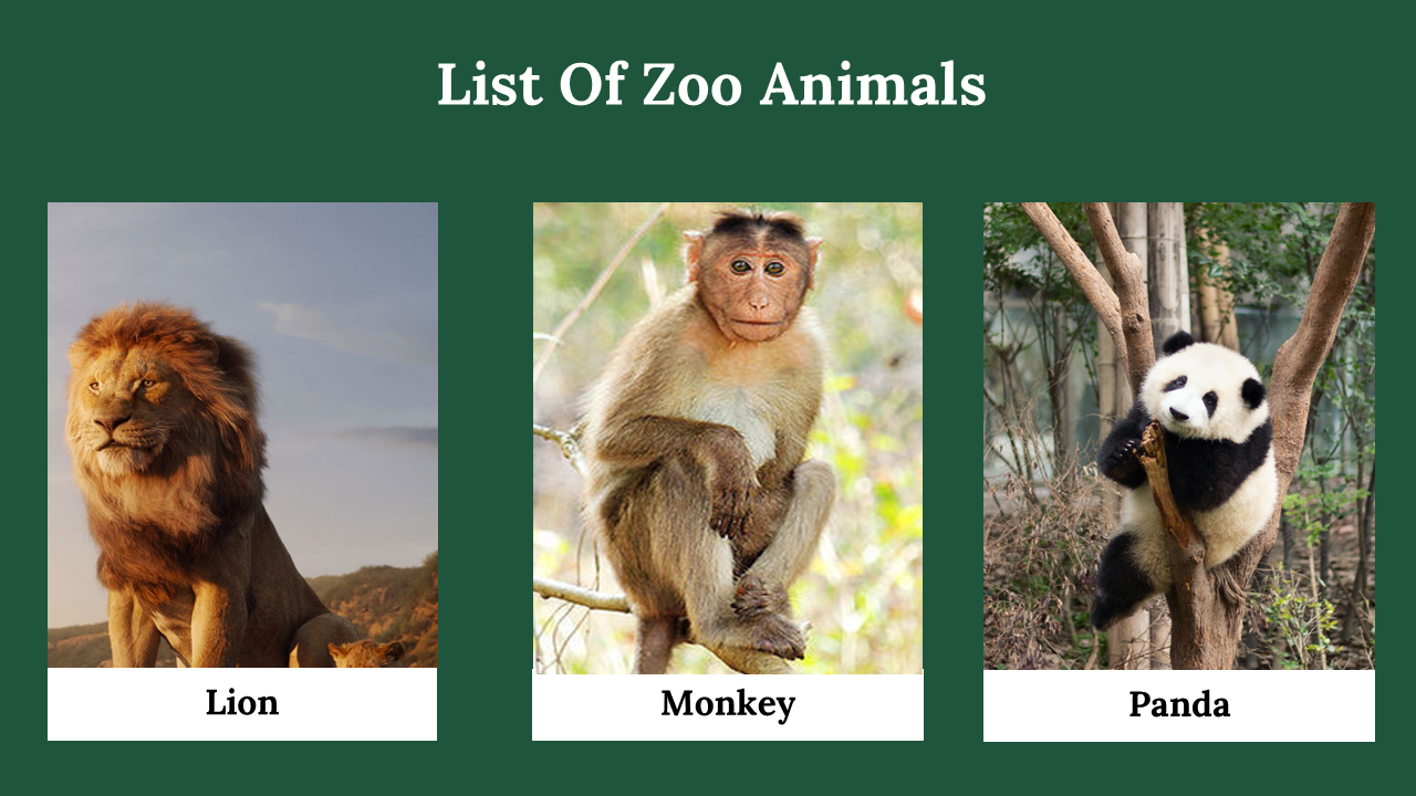 300071-zoo-lovers-day-22