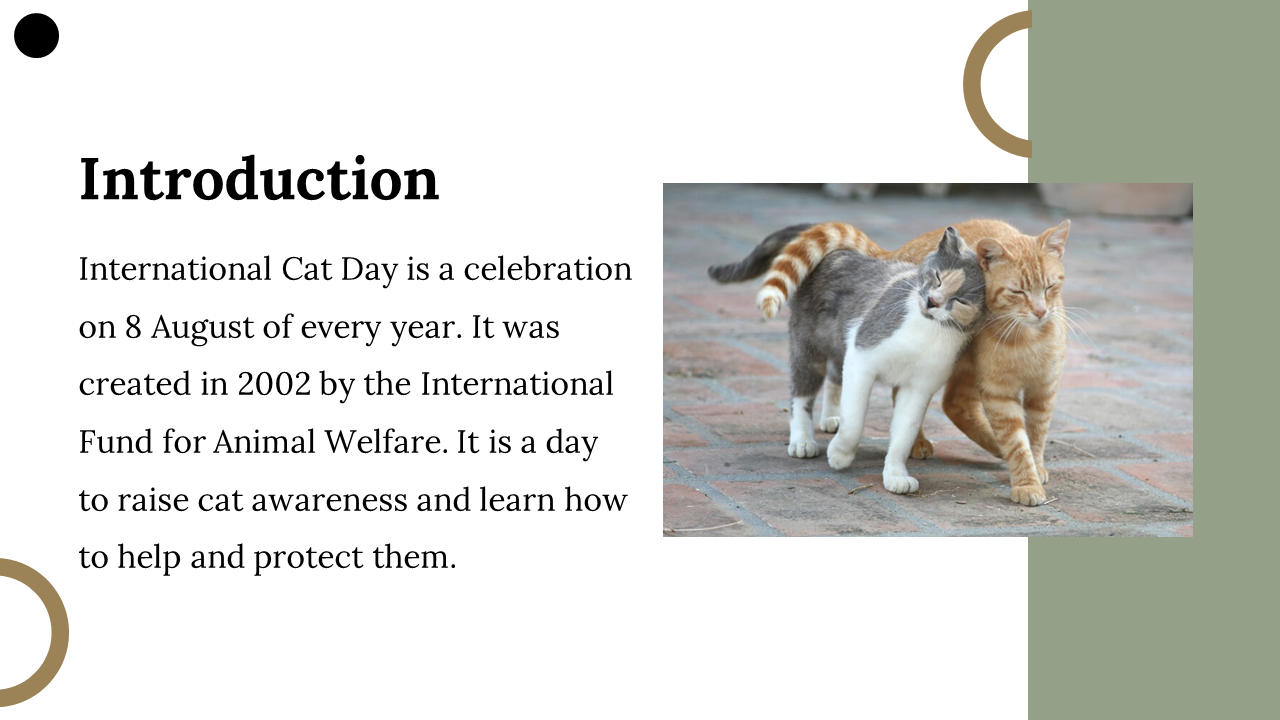 400069-international-cat-day-04