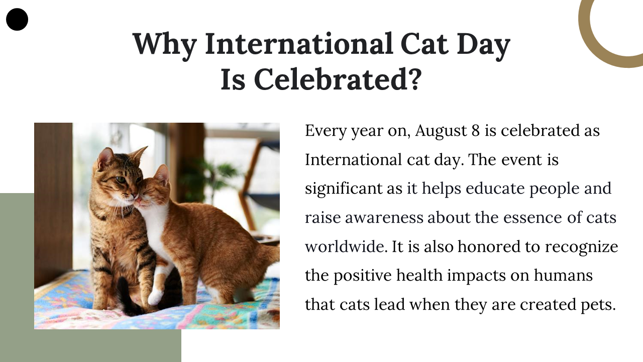 400069-international-cat-day-08