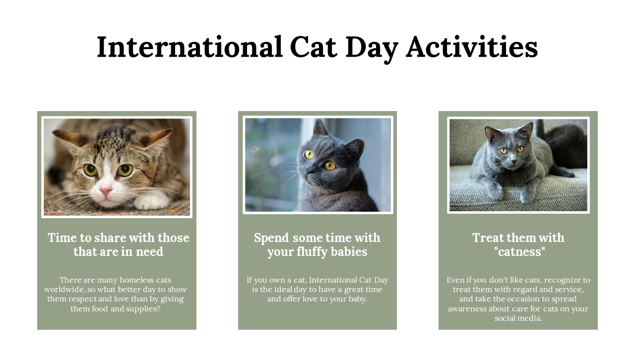 400069-international-cat-day-13