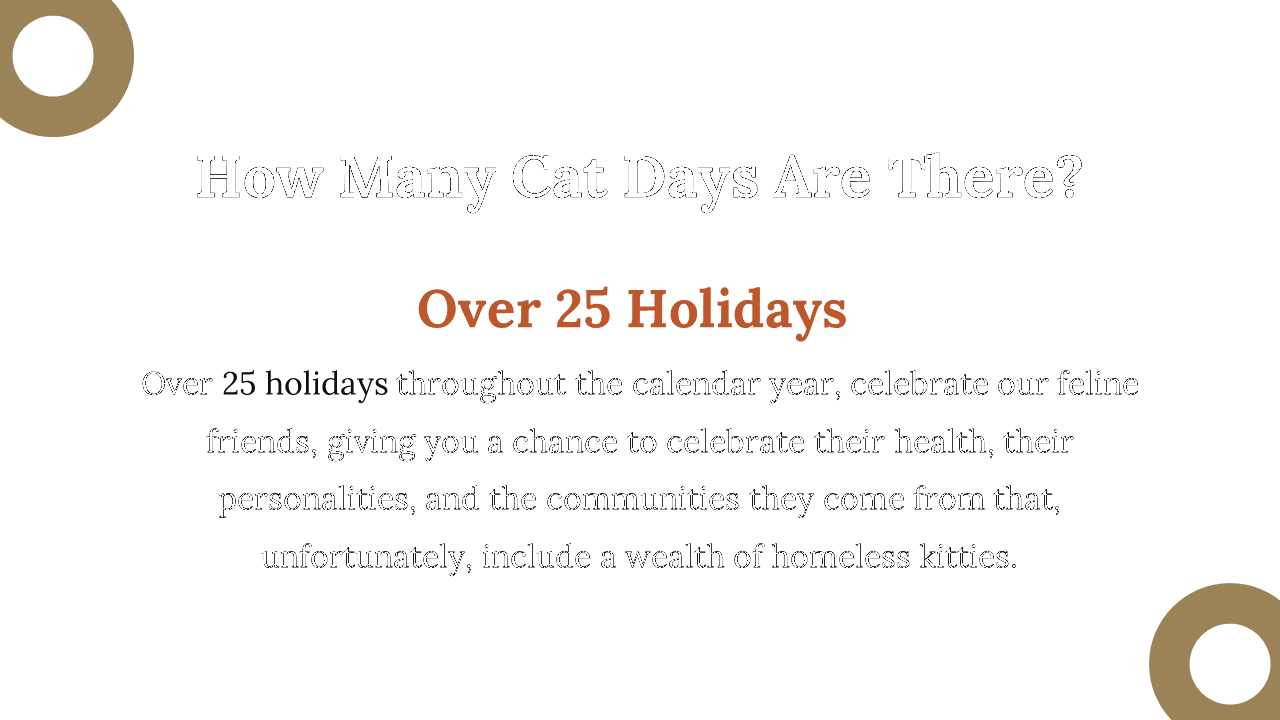 400069-international-cat-day-14