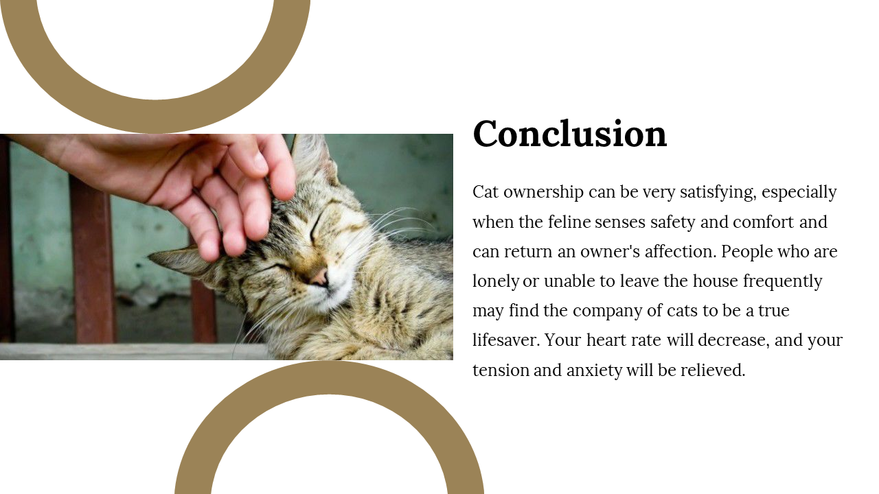 400069-international-cat-day-29