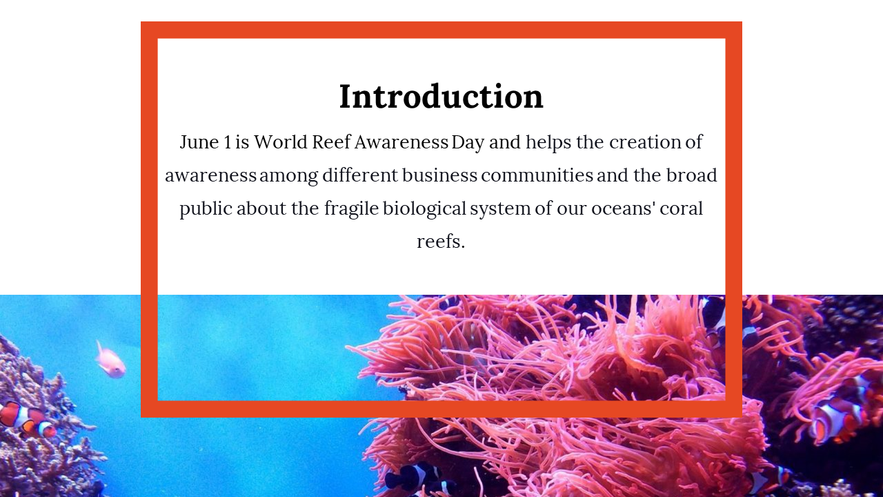 400071-world-reef-day-04