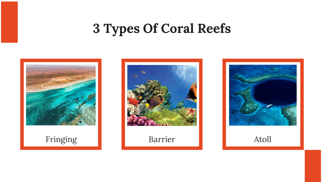 400071-world-reef-day-06