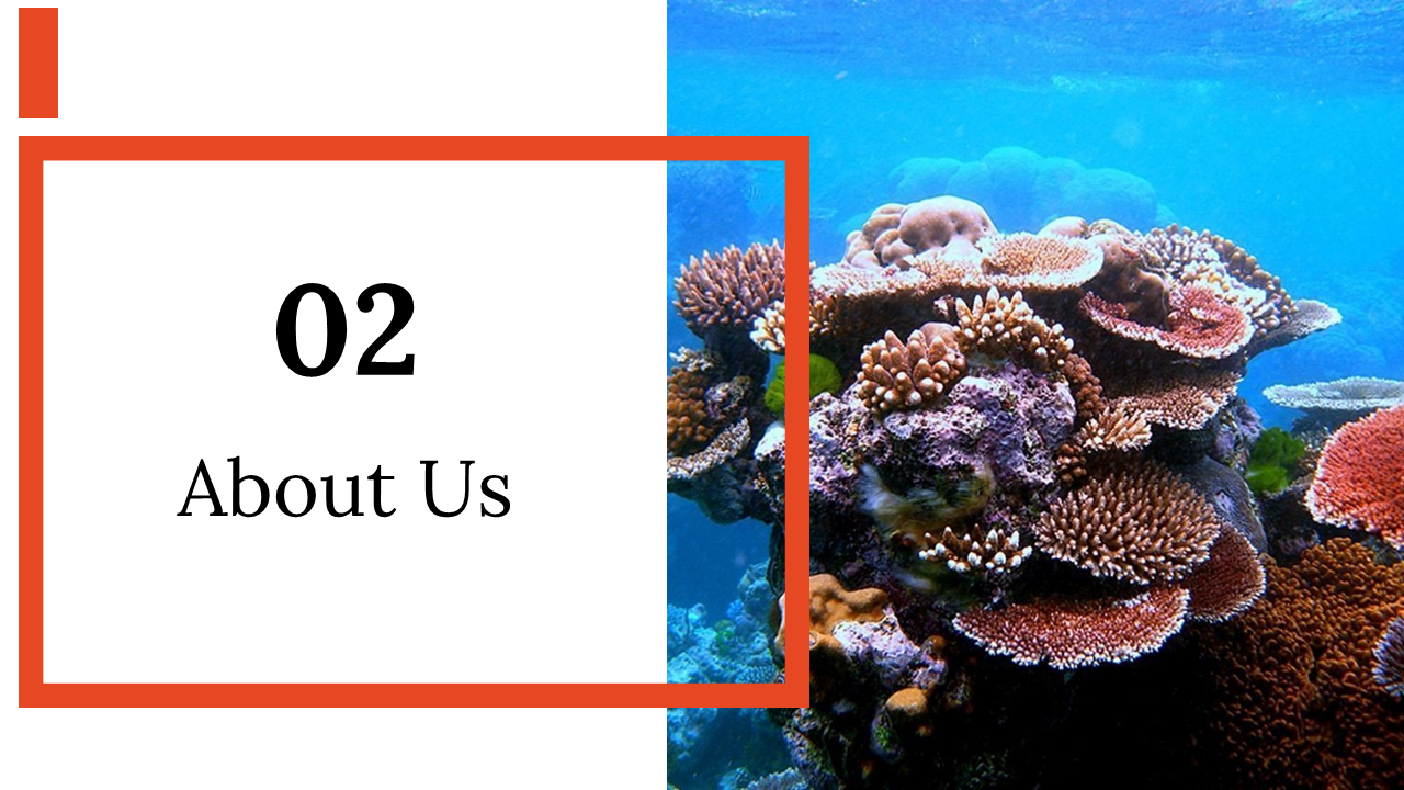 400071-world-reef-day-07