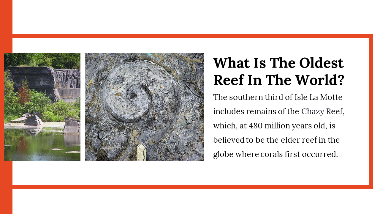 400071-world-reef-day-19