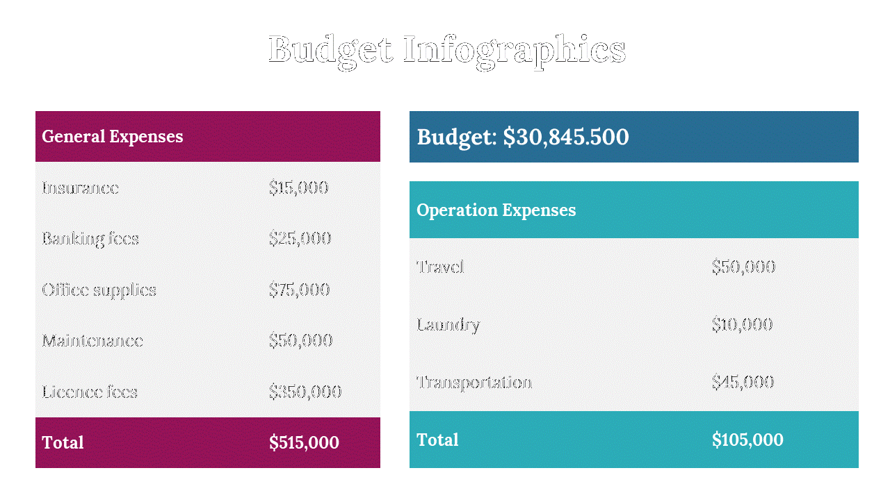 300077-budget-infographics-25