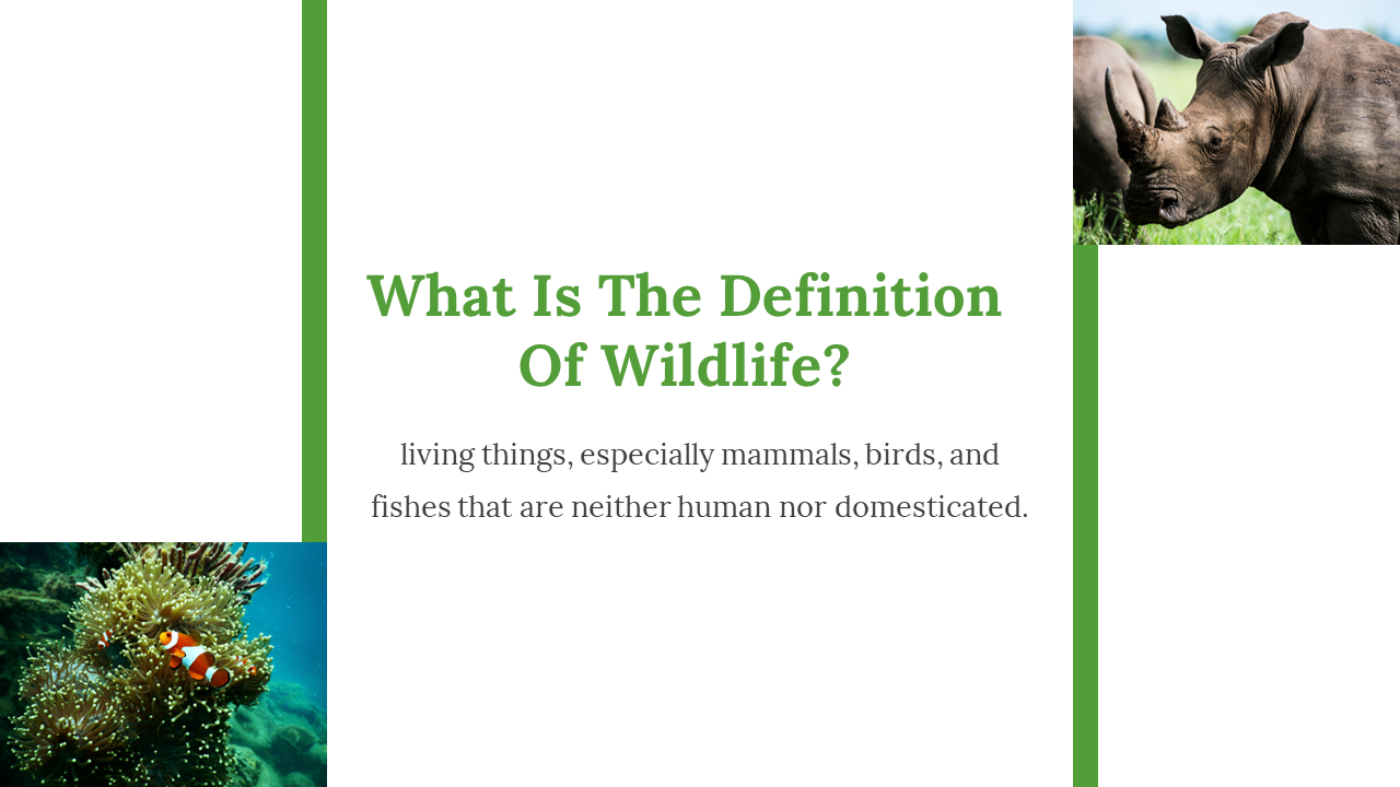 200069-world-wildlife-day-12