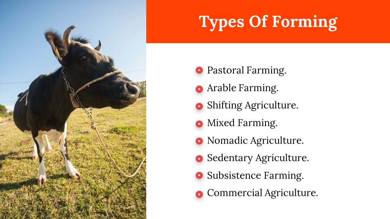 100082-world-farm-animals-day-26