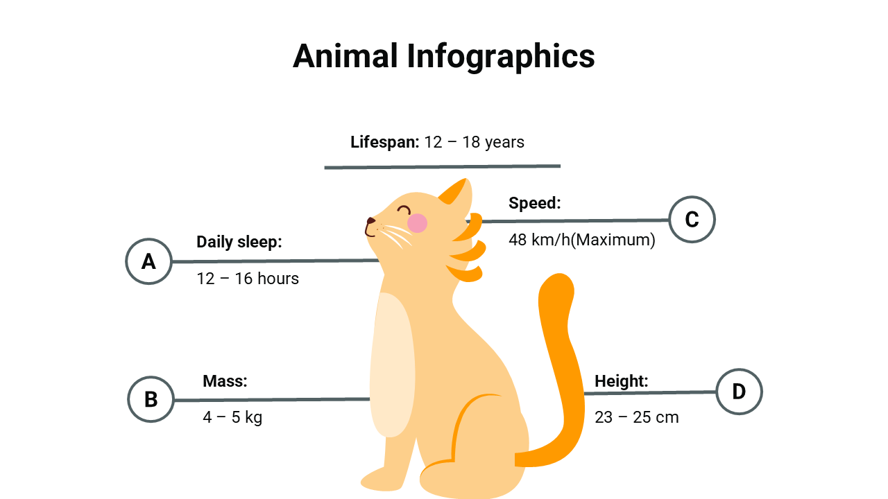 400083-animal-infographics-06