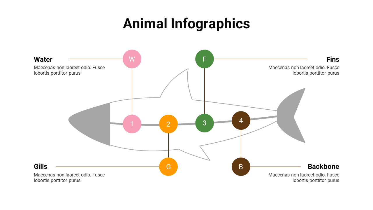 400083-animal-infographics-24