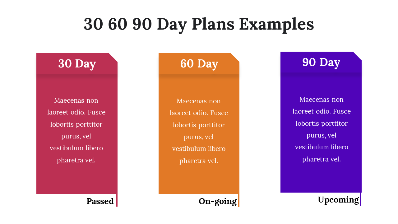 300085-30-60-90-day-plans-examples-04