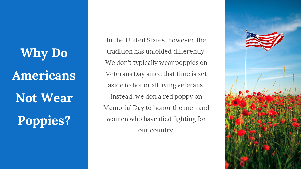 200074-memorial-day-ppt-templates-20