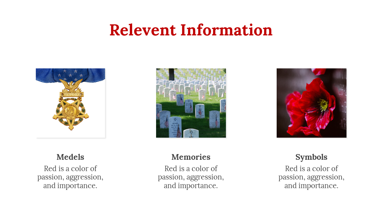200074-memorial-day-ppt-templates-25