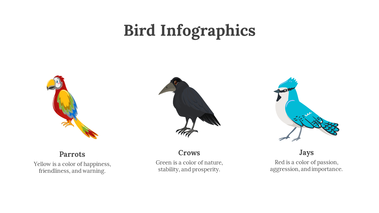 200077-bird-infographics-04