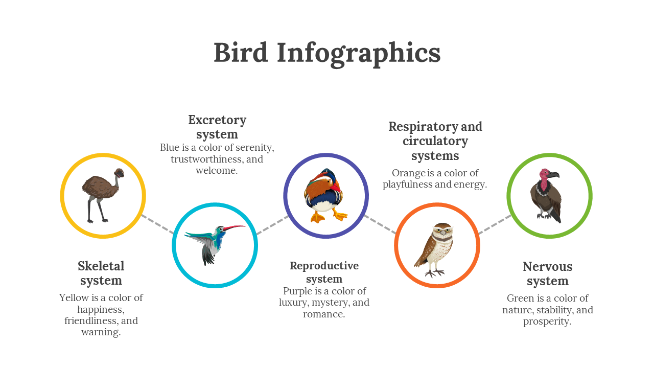 200077-bird-infographics-07