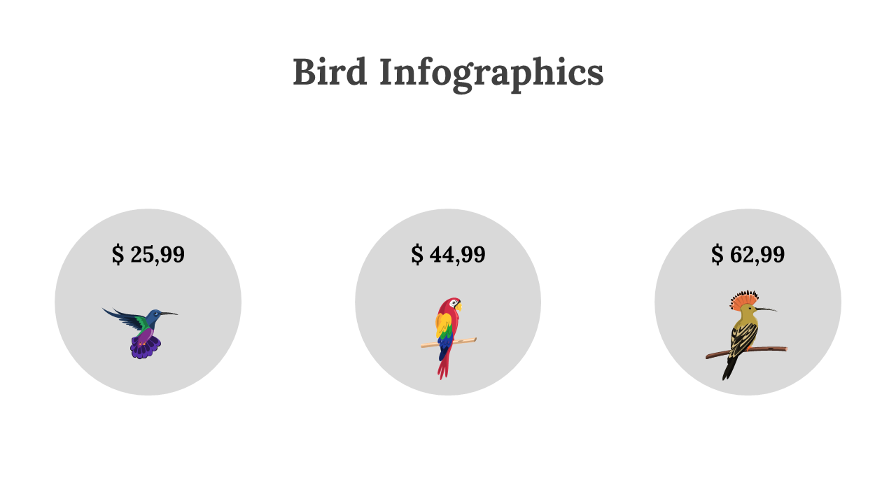 200077-bird-infographics-15