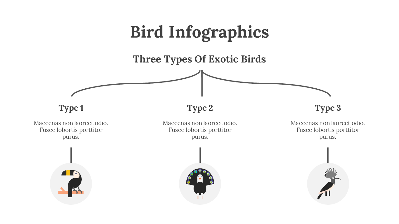 200077-bird-infographics-23