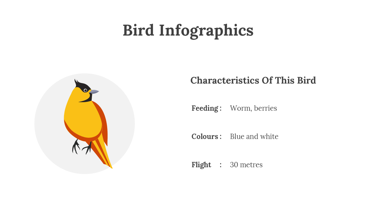 200077-bird-infographics-24