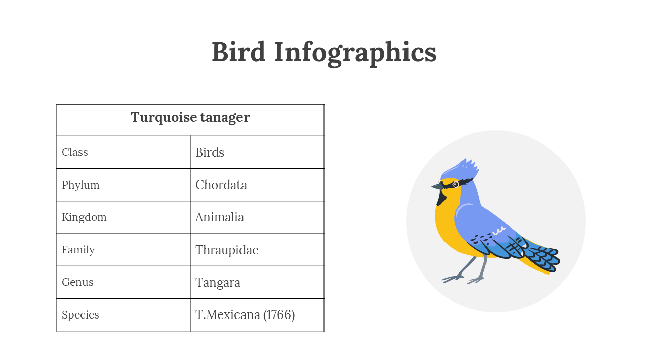 200077-bird-infographics-25