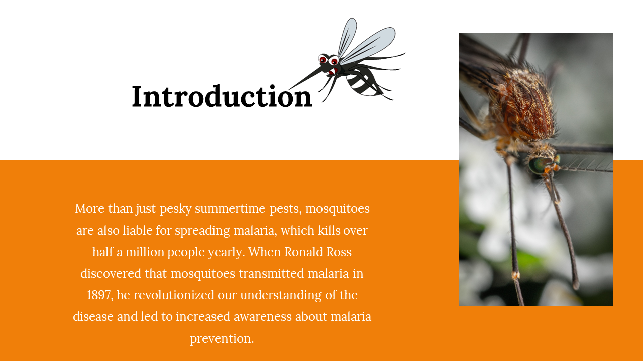 100093-world-mosquito-day-03