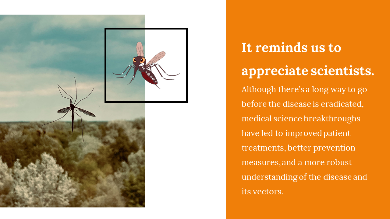 100093-world-mosquito-day-12