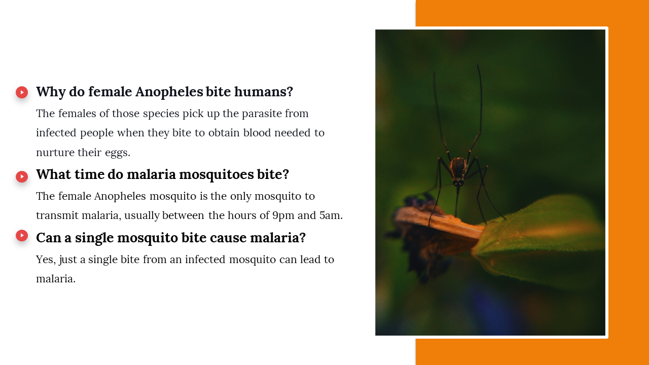 100093-world-mosquito-day-13