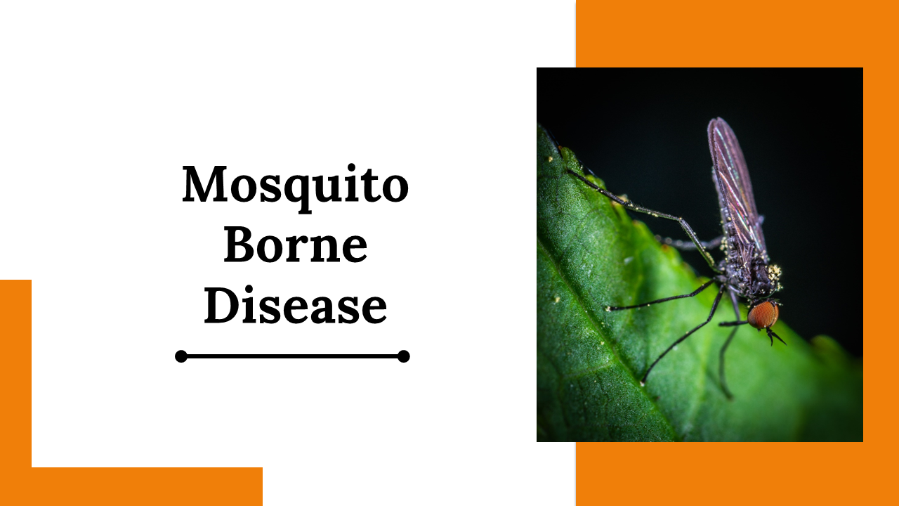 100093-world-mosquito-day-18