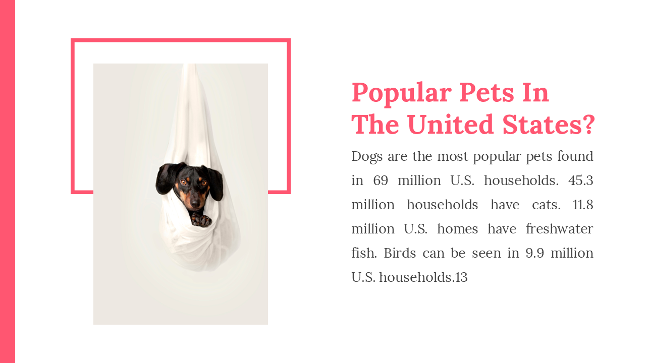 200081-us-national-pet-day-18